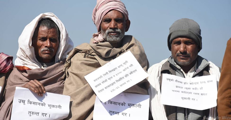 उखु किसानको रकम तत्काल भुक्तानी गर्न माग